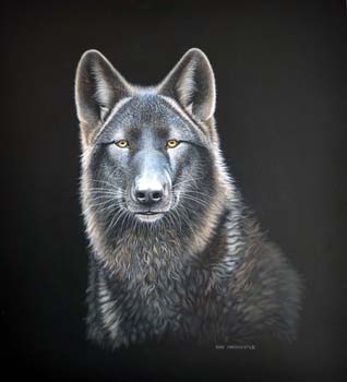 Black Wolf